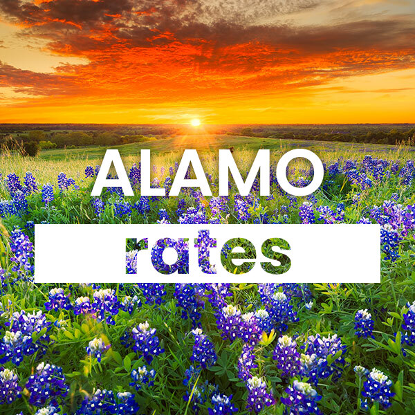 Compare the best Electricity rates and plans in Alamo texas