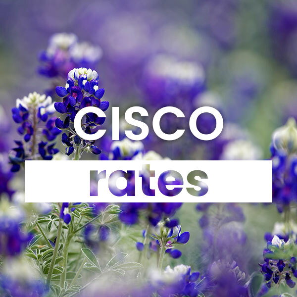 Compare the best Electricity rates and plans in Cisco texas