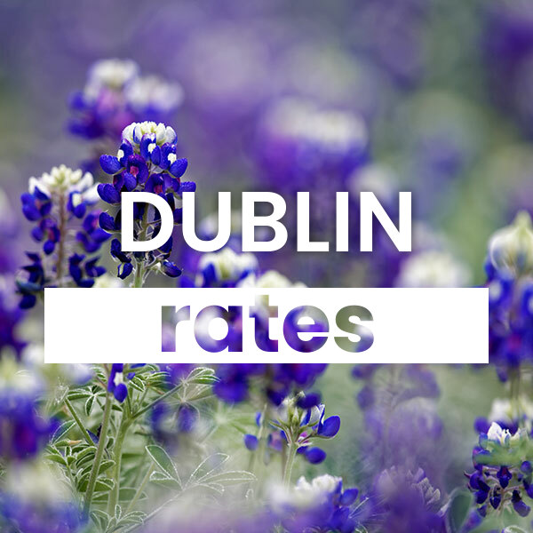 Compare the best Electricity rates and plans in Dublin texas