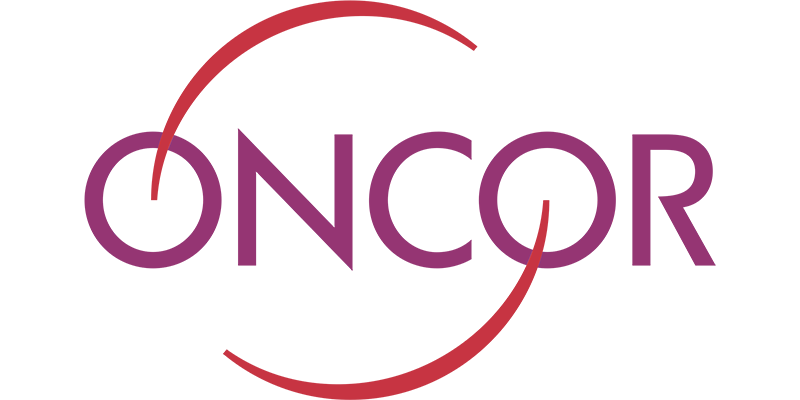 Oncor Electric Delivery in Texas